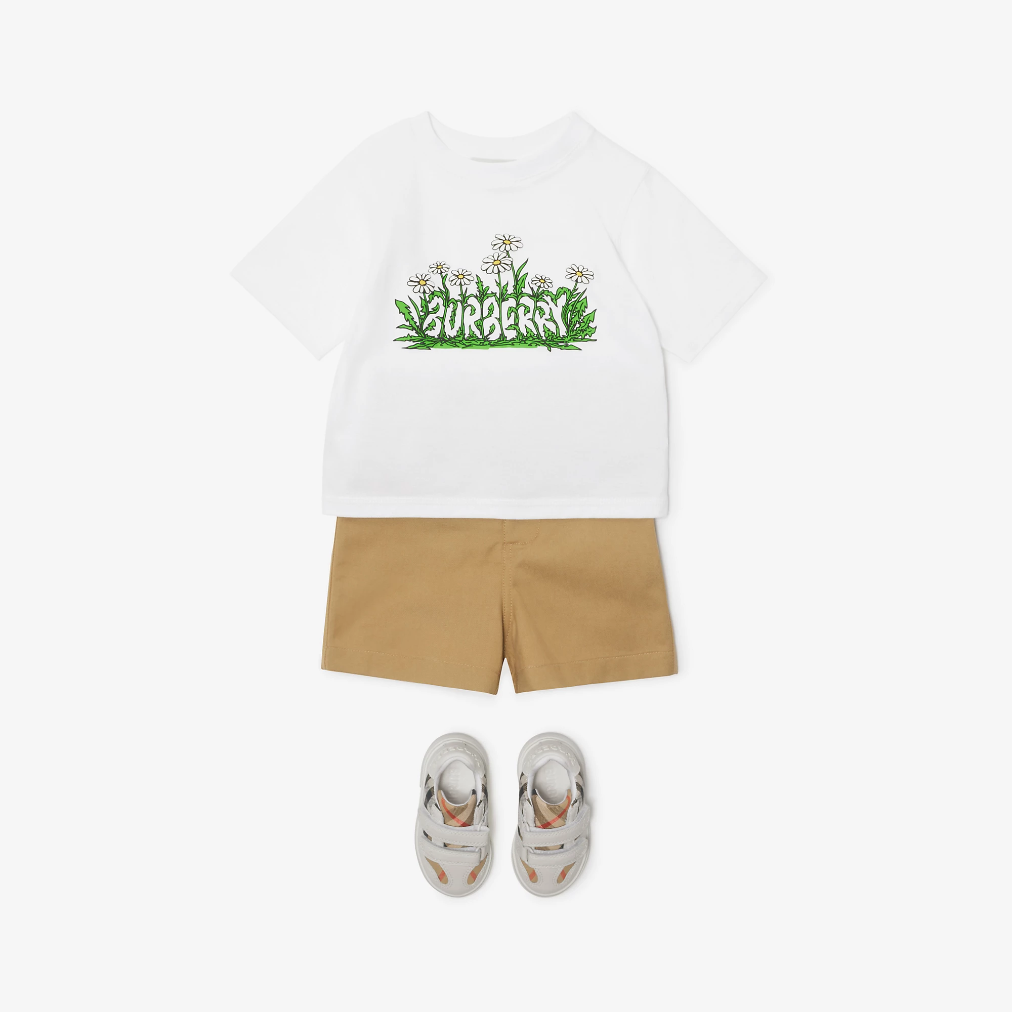 10504-daisy-logo-cotton-t-shirt-1.webp