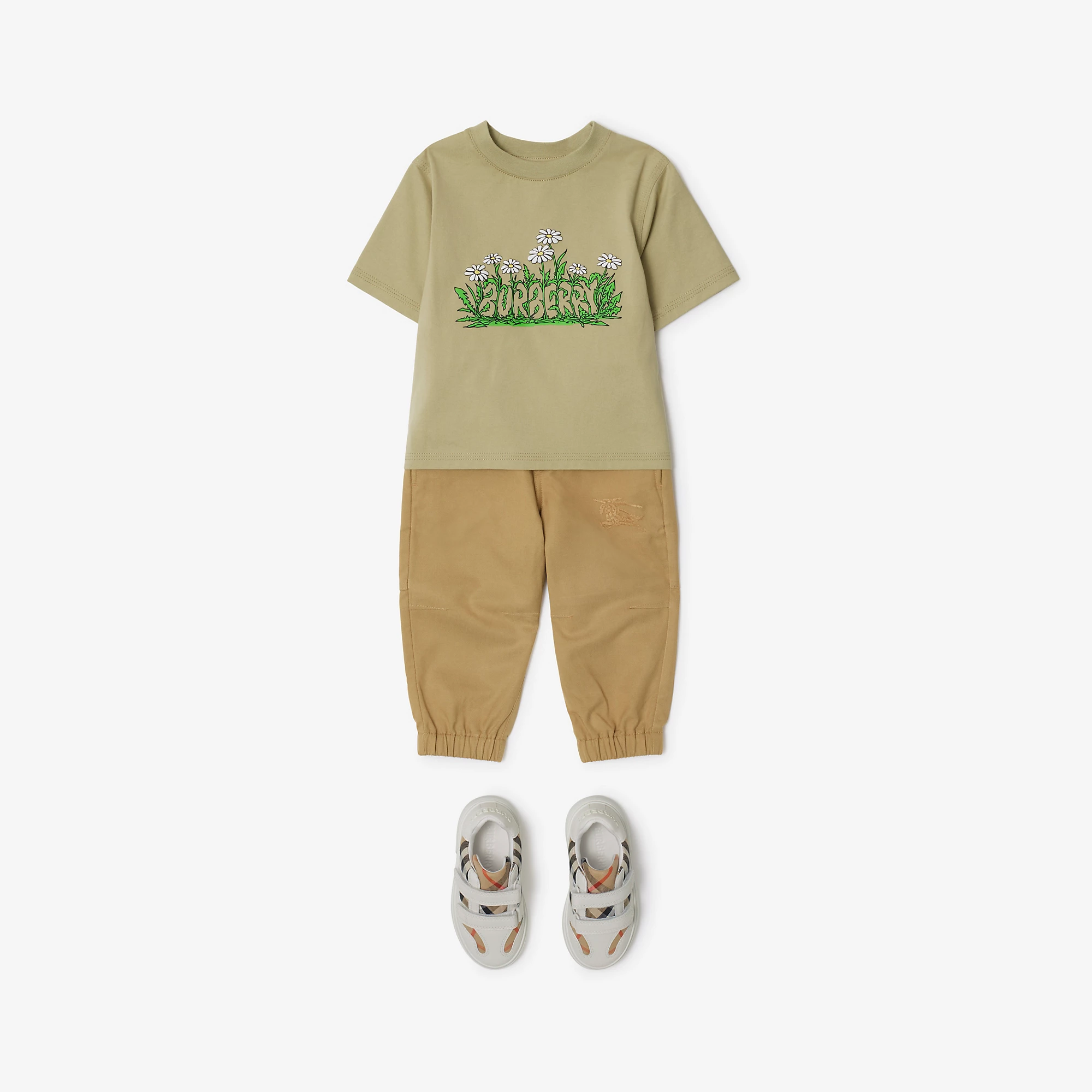 10531-daisy-logo-cotton-t-shirt-1.webp
