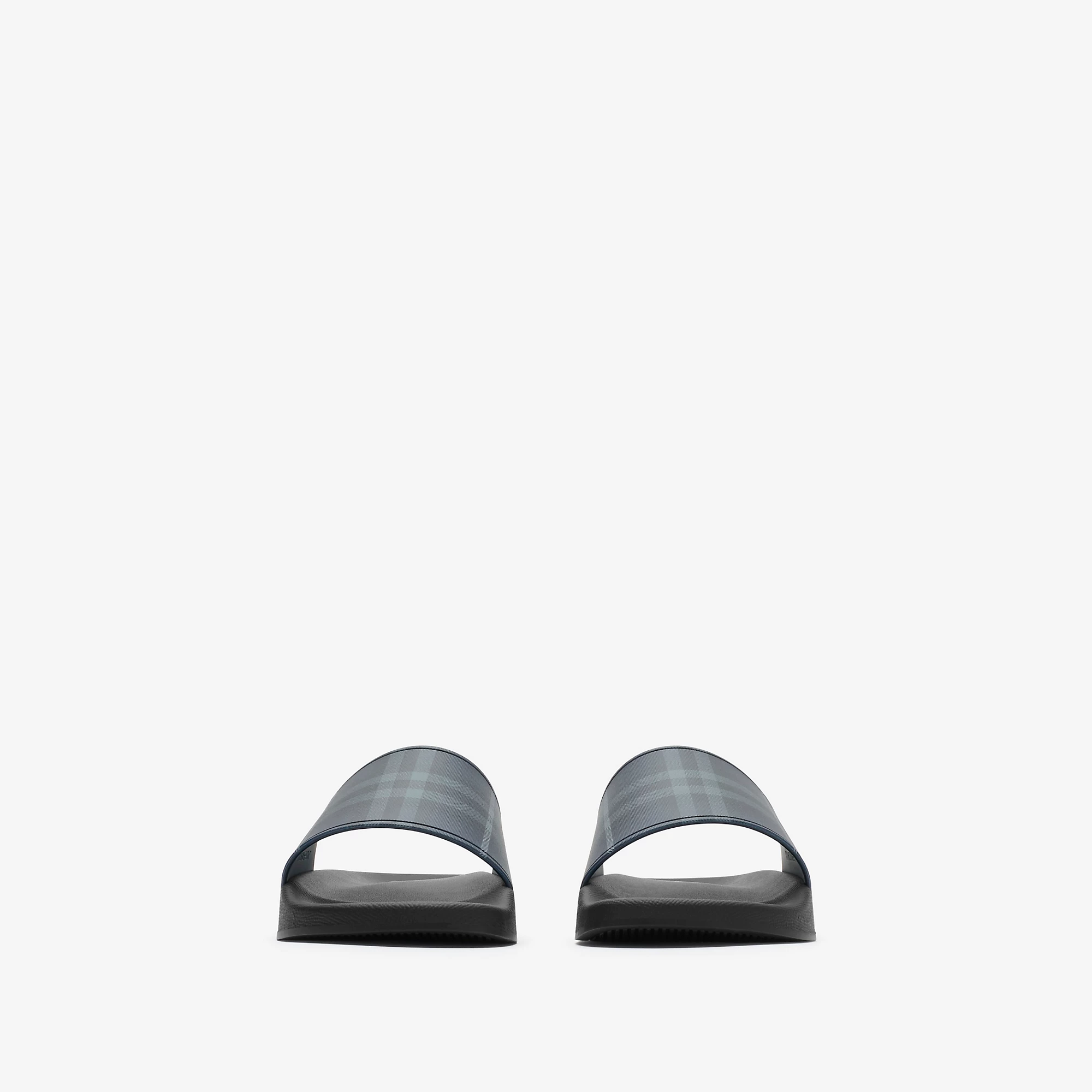 Check Slides