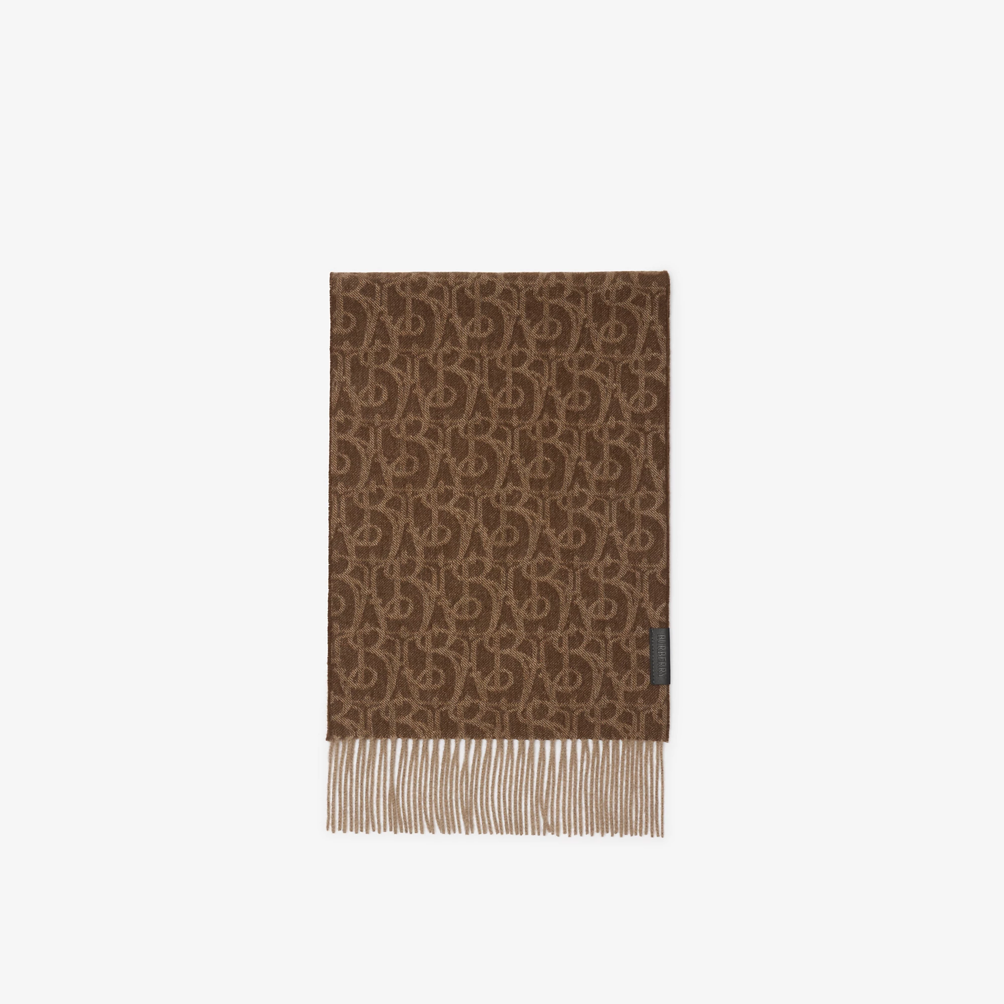 21498-b-charm-cashmere-scarf-1.webp