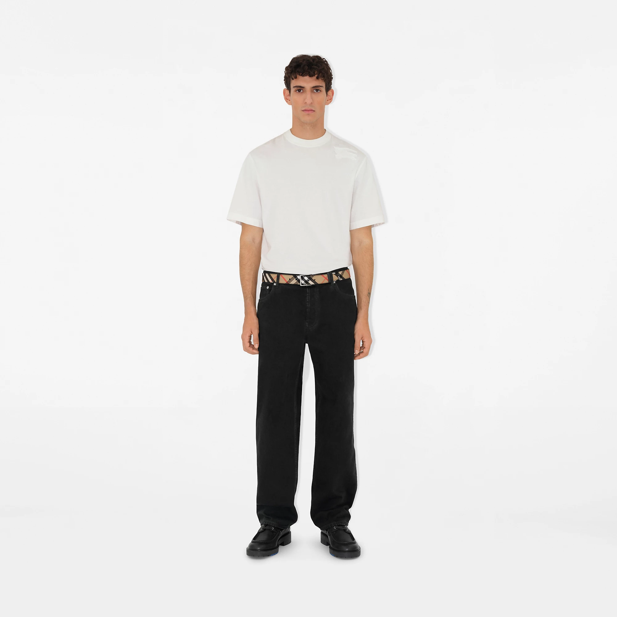 Check Belt