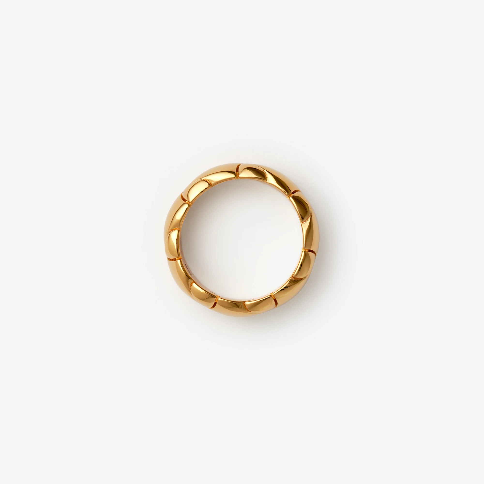 25526-shield-segment-ring-1.webp