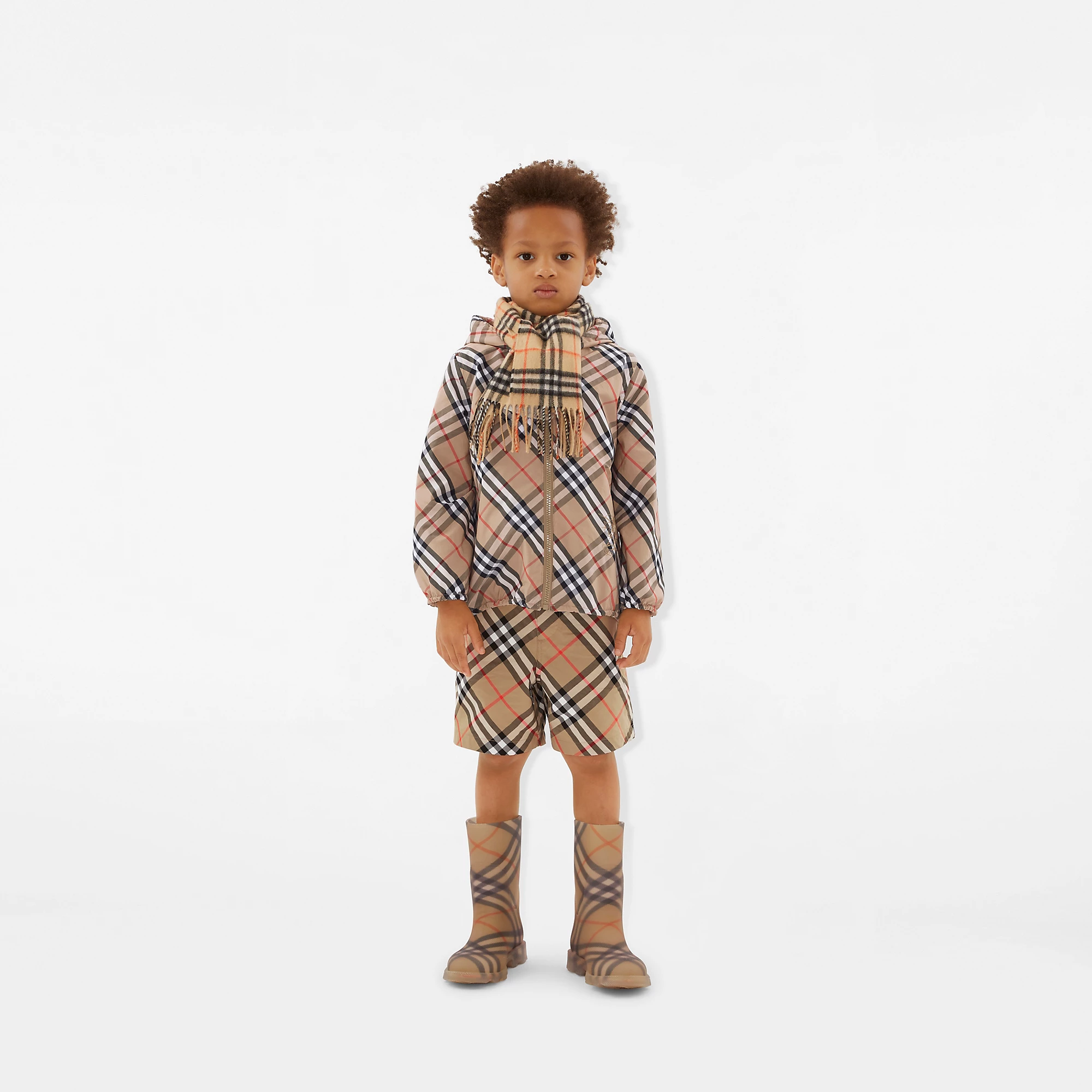 26008-check-cashmere-scarf-1.webp
