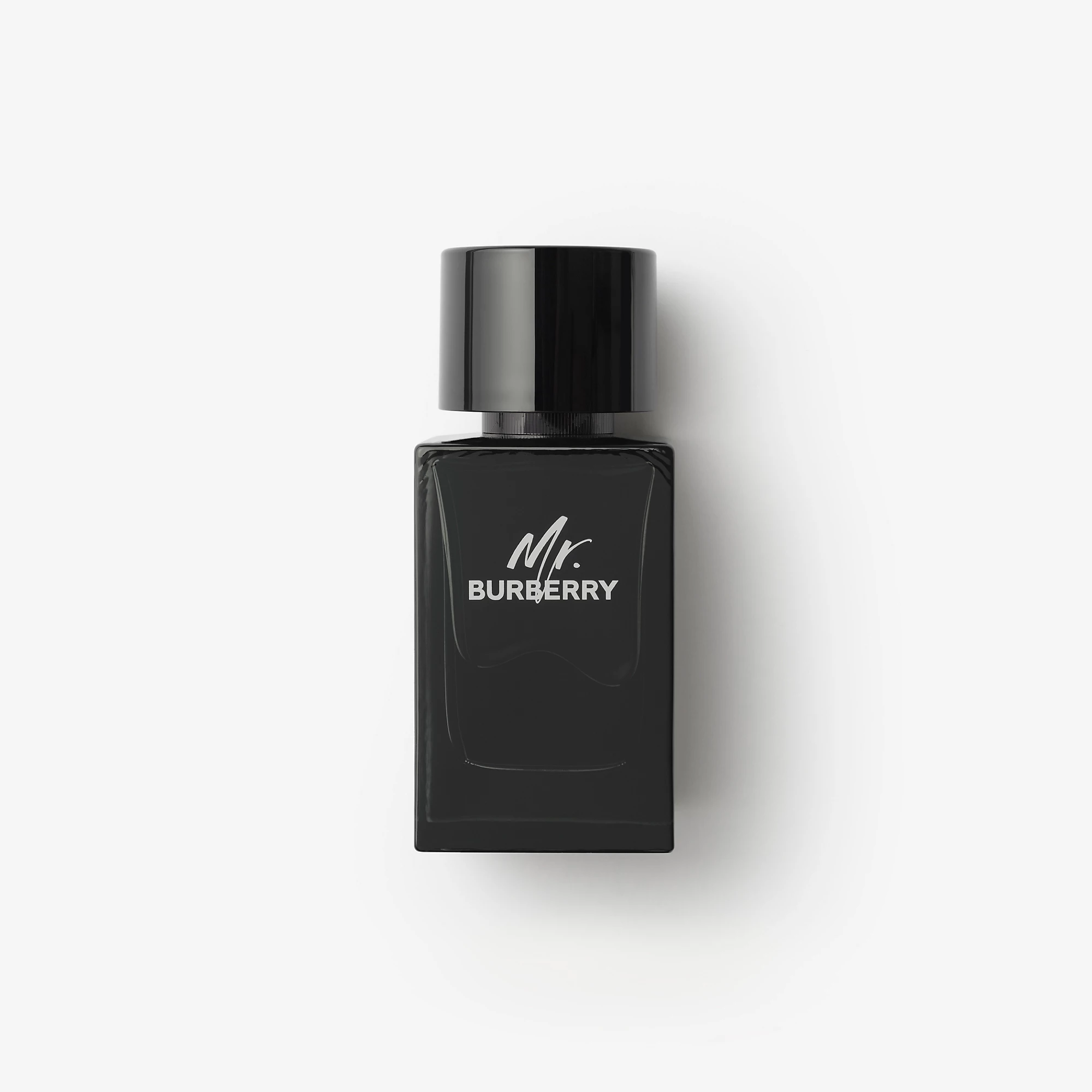 Mr. Burberry Eau de Parfum 100ml