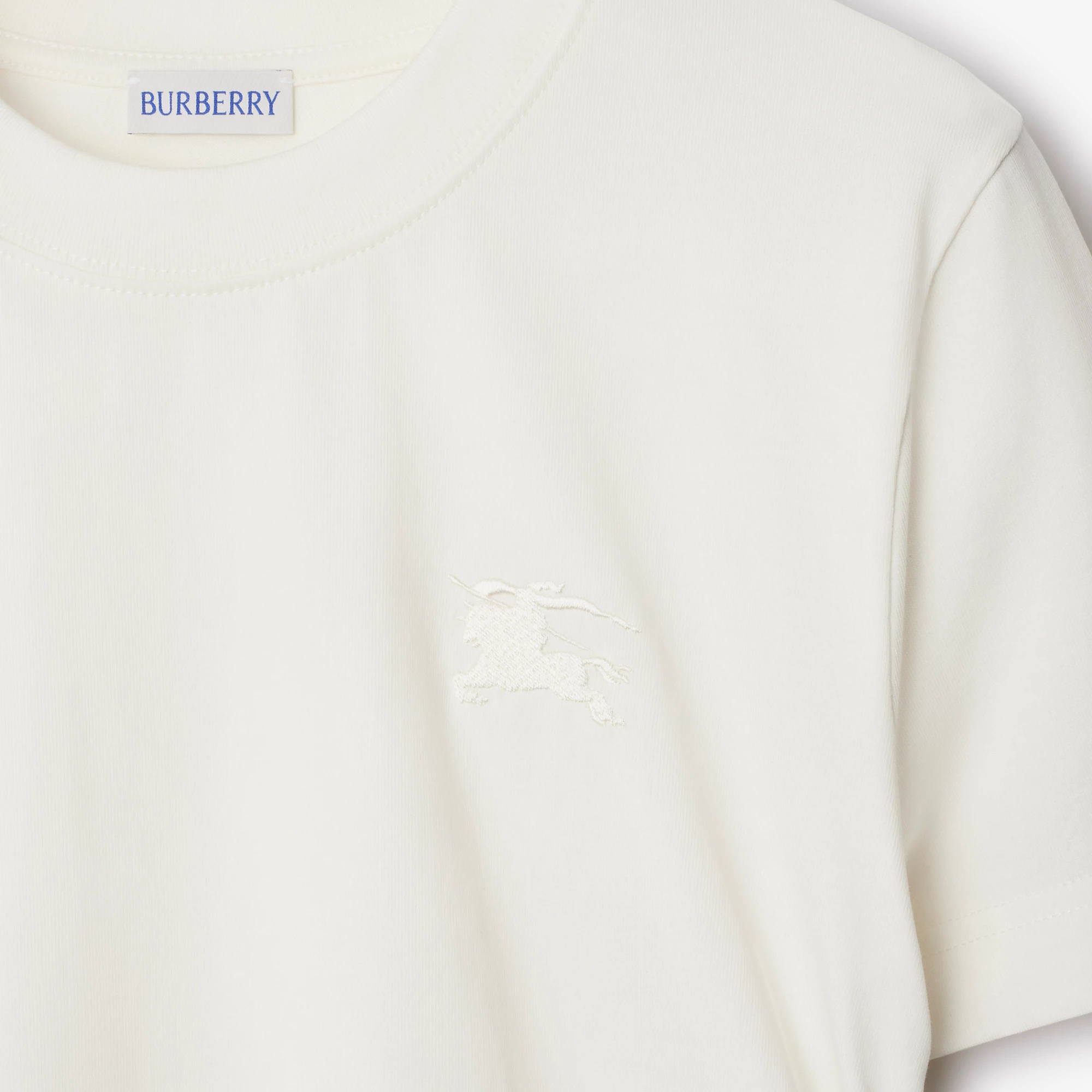 8146-festival-cotton-t-shirt-1.webp
