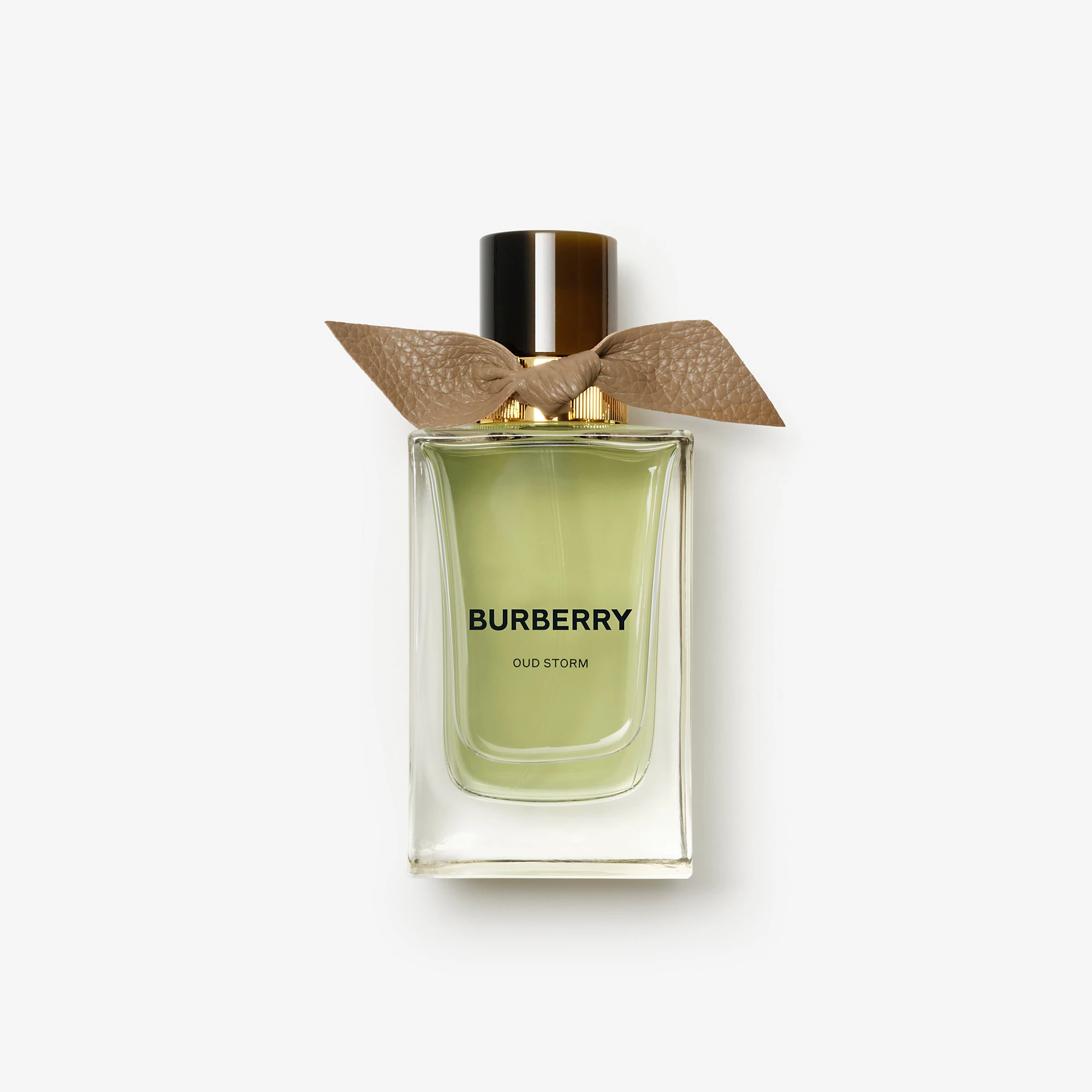 Burberry Signatures Extreme Botanicals Oud Storm Eau de Parfum 100ml
